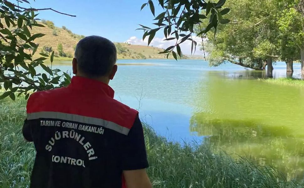Güllük’te aşılama, Seyitnizam’da su ürünleri denetimi