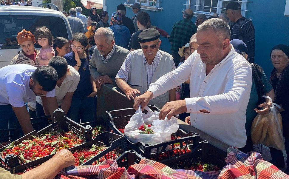 Mecitözü Ziraat Odası vatandaşlara kiraz dagıttı