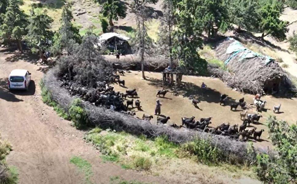 Kargı İlçe Tarım Müdürlüğü’nden üreticiye sahada destek