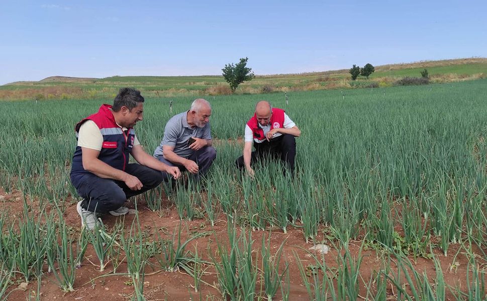 Alaca’da tarım arazileri CBS ile mercek altına alındı