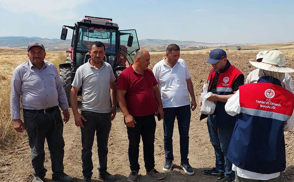 Sungurlu’da biçerdöverler tarlada denetleniyor