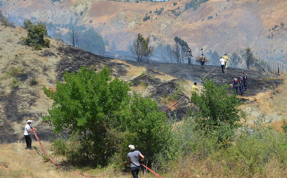 Çorum'da çıkan yangında yaklaşık 60 ardıç ağacı zarar gördü
