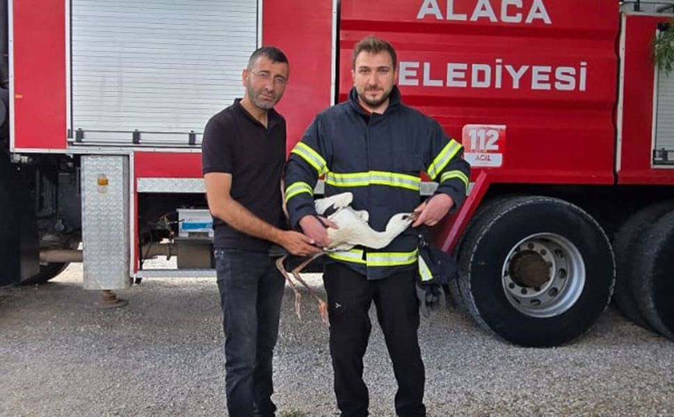 Yuvasında mahsur kalan leyleği itfaiye kurtardı