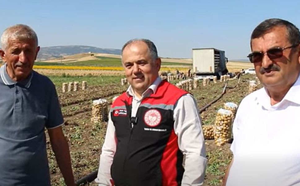 Hasan Taş patates hasadını yerinde inceledi