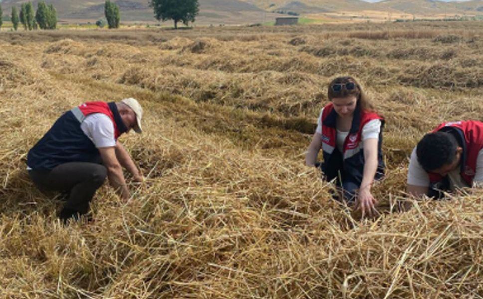 Mecitözü’nde biçerdöver kontrolleri sürüyor