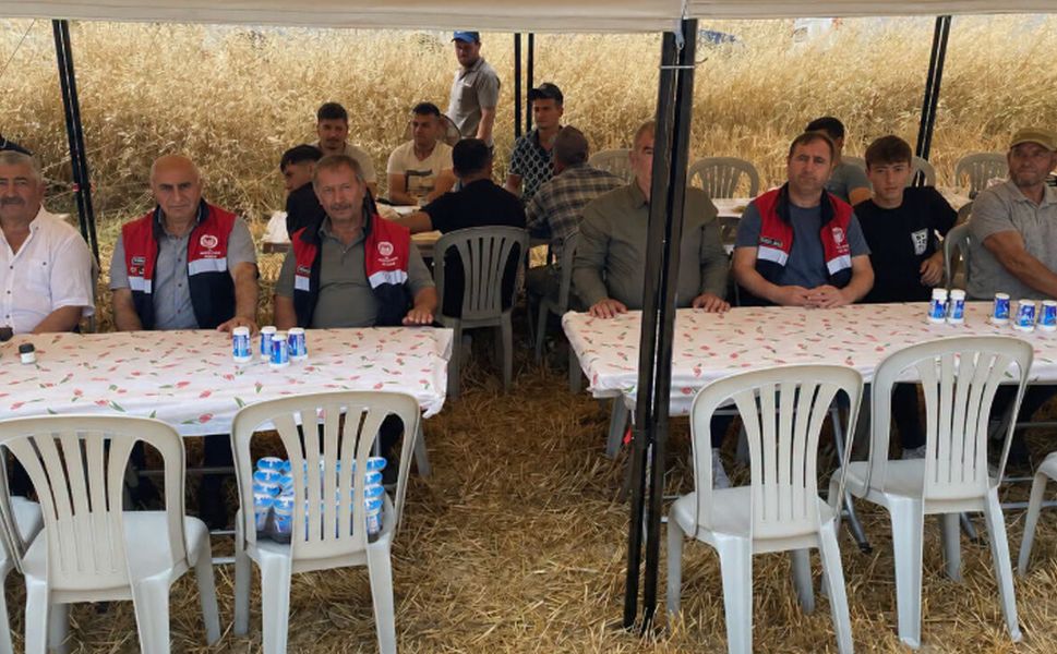 Mecitözü’nde kanola hasadında dekara 382 kilogram verim