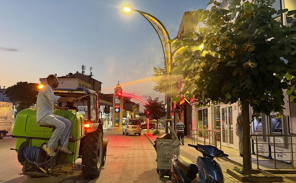 Haşerelere karşı ilaçlama çalışmaları sürüyor