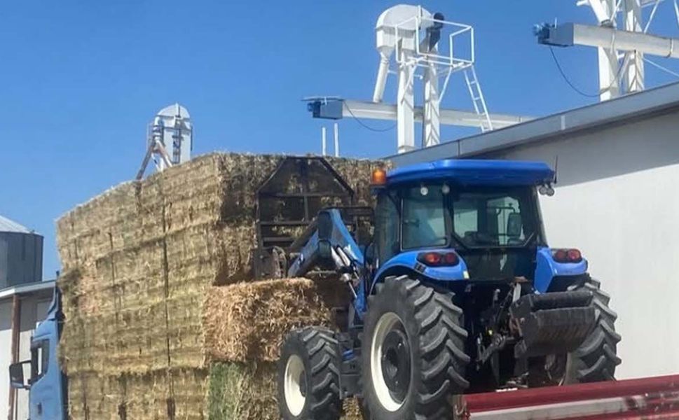 Çorum'da üreticilere balya desteği sürüyor