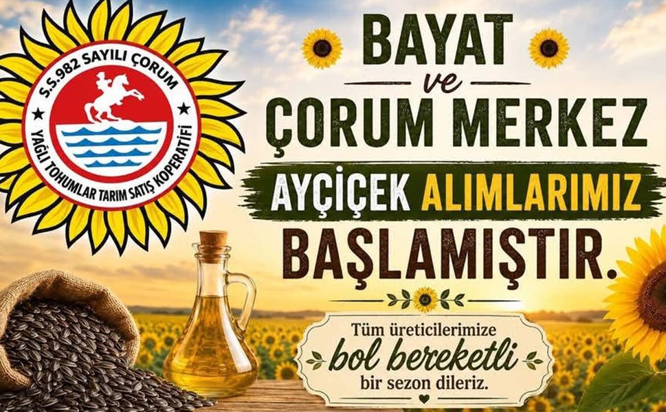 Yağlık ayçiçeği alımları başladı: Nasıl teslim edilecek?