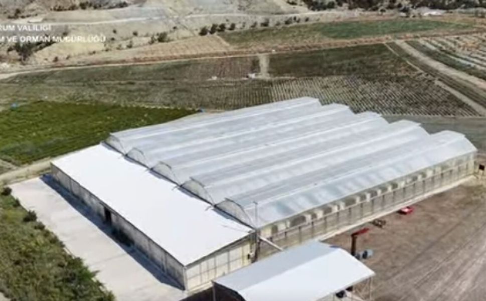 Dodurga’da yılda 5 milyonun üzerinde sertifikalı fide üretiliyor