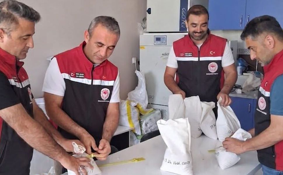 Çorum’da 25 bin ton sertifikalı tohum üretimi bekleniyor