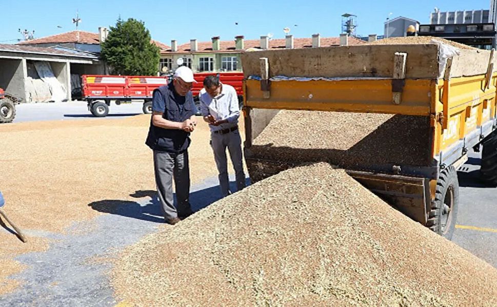 Alaca Ticaret Borsası’nda buğday fiyatı 17,50 TL’ye yükseldi