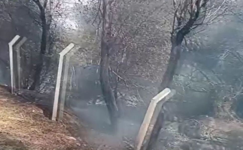 Çorum'da çıkan yangında yaklaşık 100 güvercin telef oldu