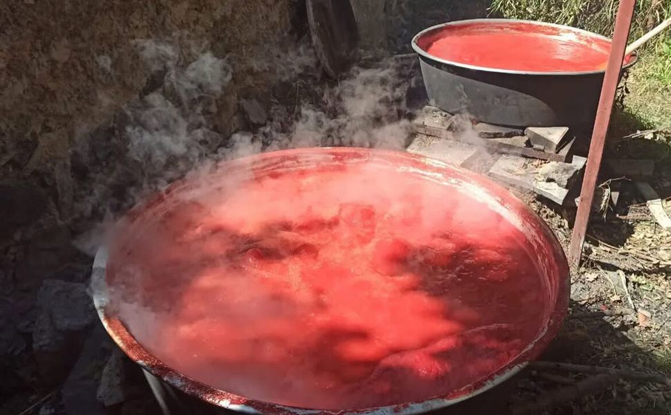Kışlık salça yapacaklar dikkat: Lezzetin sırrı bu yöntemde