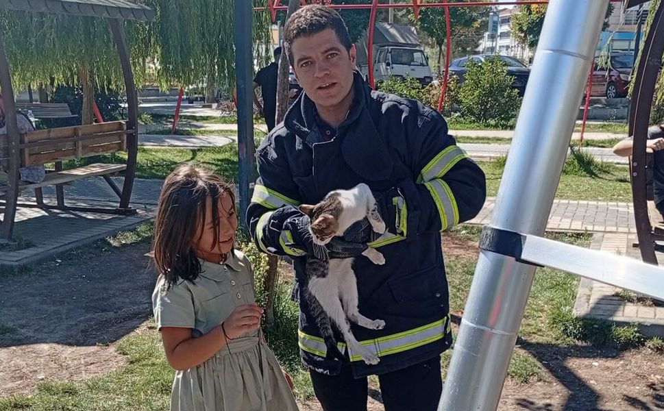 Ağaçta mahsur kaldı, imdadına itfaiye yetişti