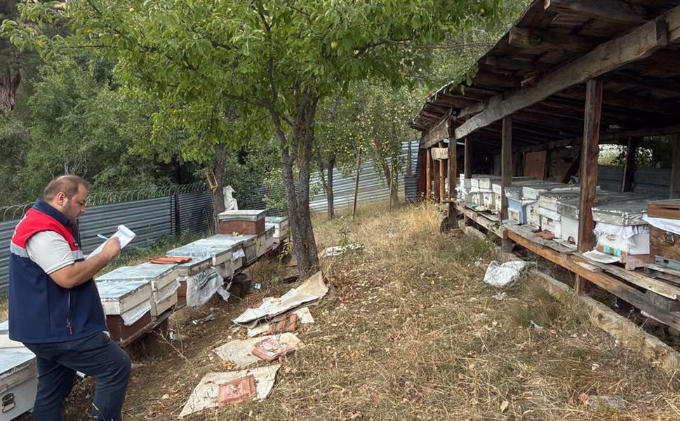 Çorum'da arılı kovanların kontrolleri sürüyor