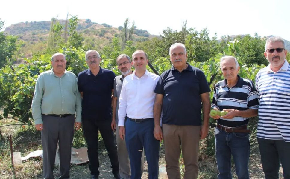 İskilip’te üzüm bağında yerel çeşitler incelendi