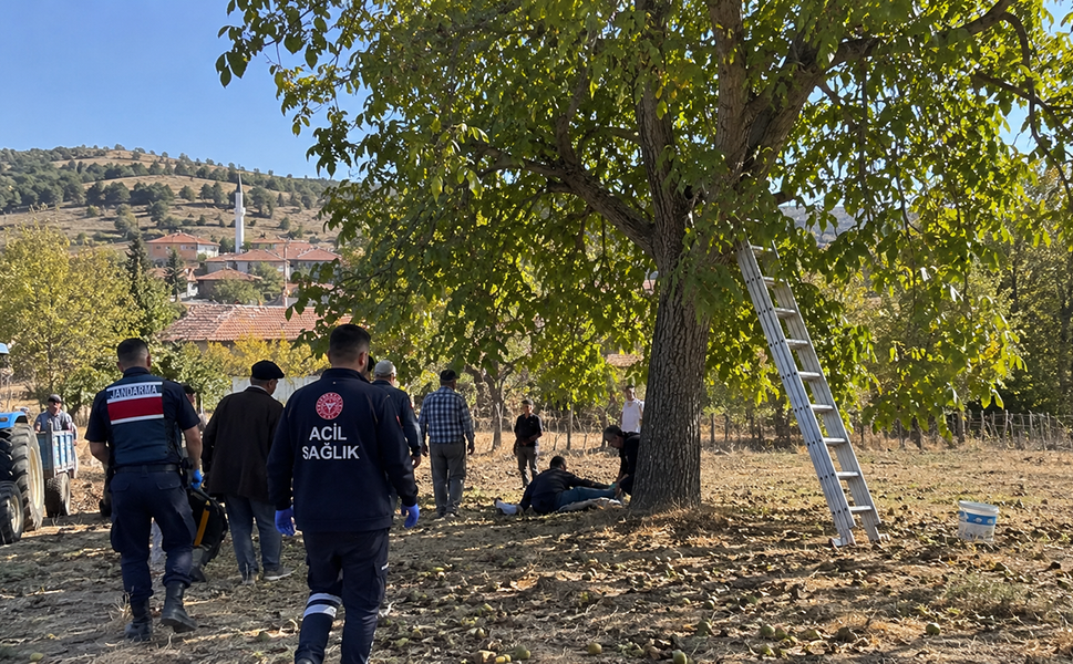 Çorum'da ceviz ağacından düşen kişi hayatını kaybetti