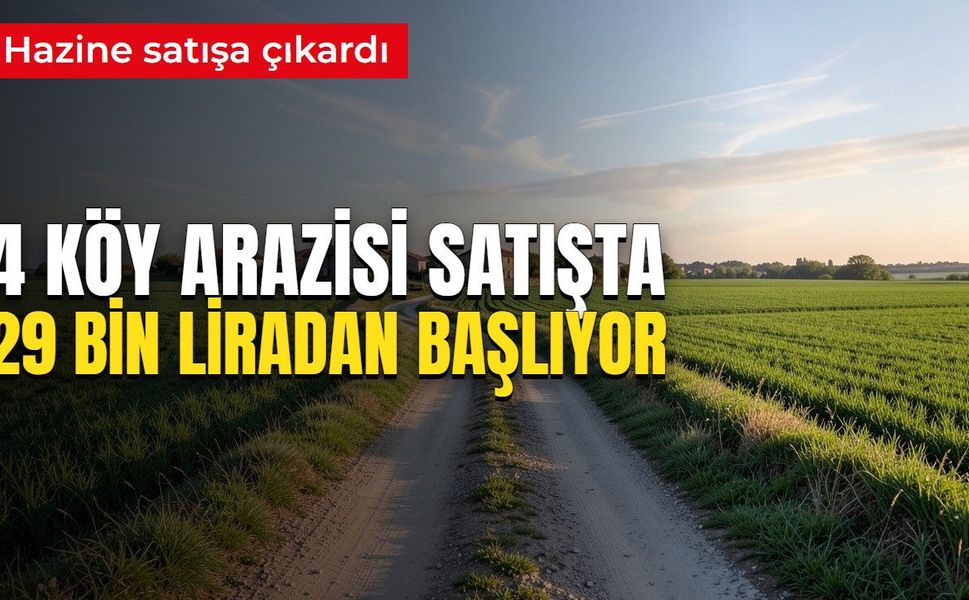 En ucuzu 29 bin, en pahalısı 590 bin lira. Hazine, Çorum'daki 4 arazisini satışta çıkardı