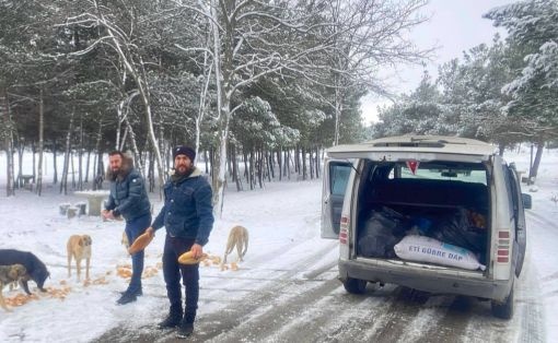 Yaban hayvanlarını unutmadılar