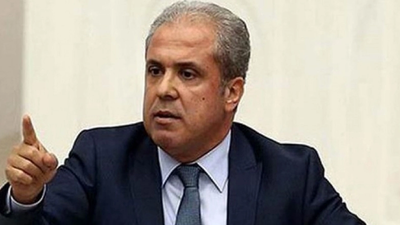 Şamil Tayyar