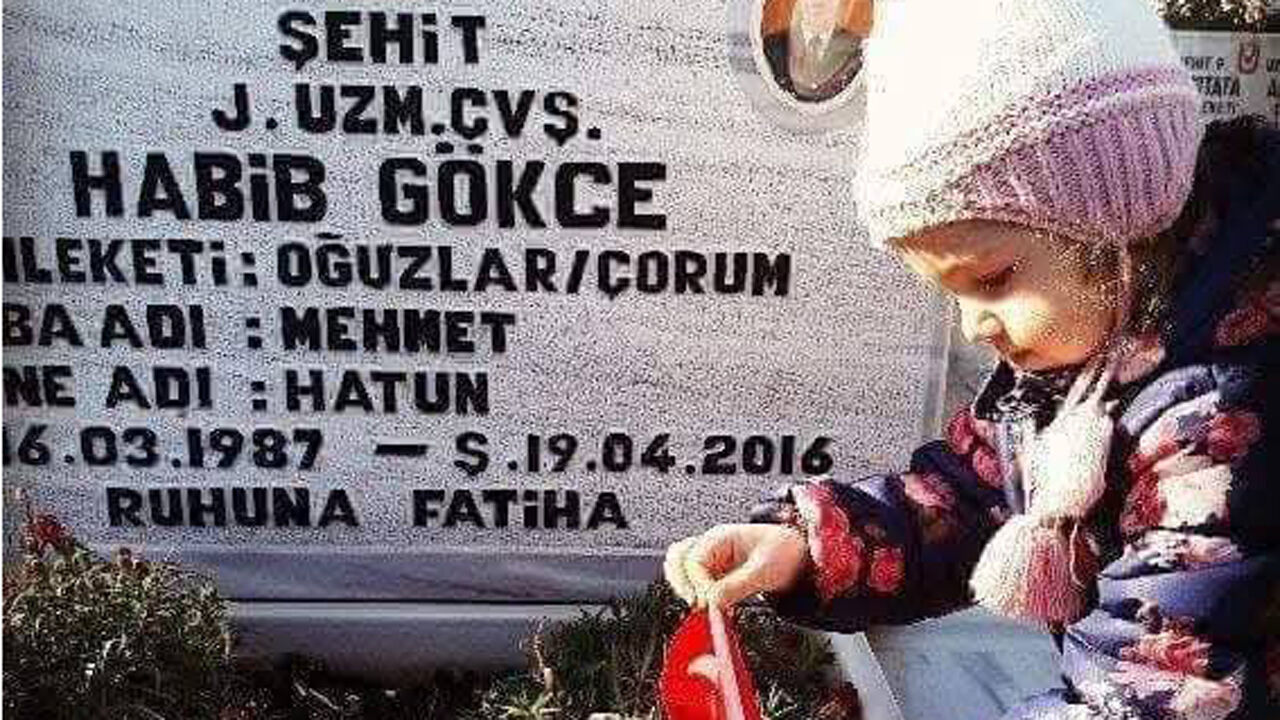 Şht Habipgökçe