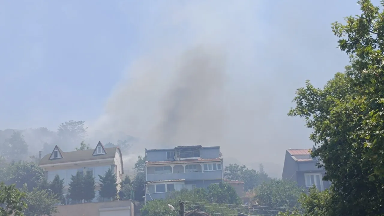 Bursa Orman Yangını 2