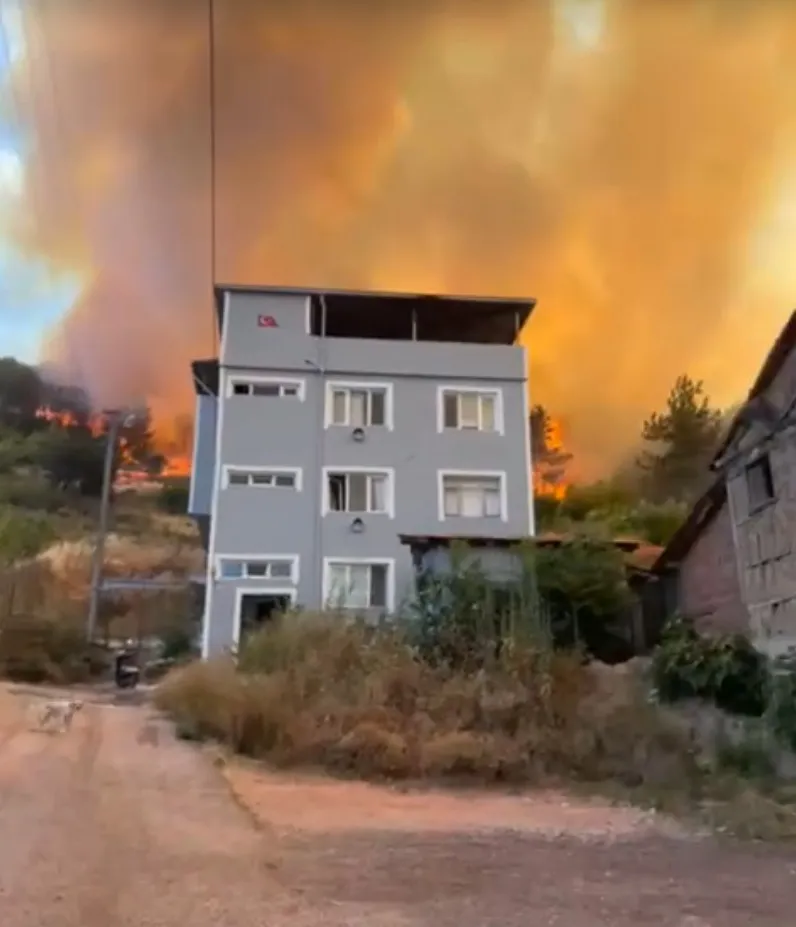 Bursa Orman Yangını 5