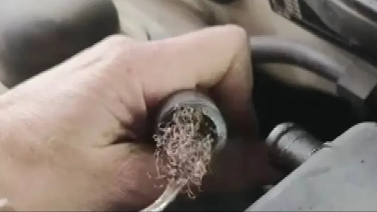 Ekspertizde Ilginç Anlar 2