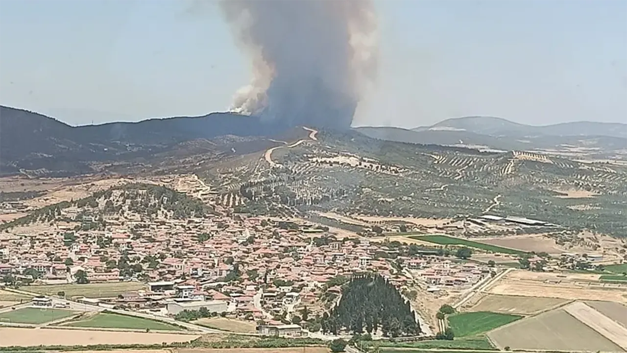 Izmir Orman Yangını 3