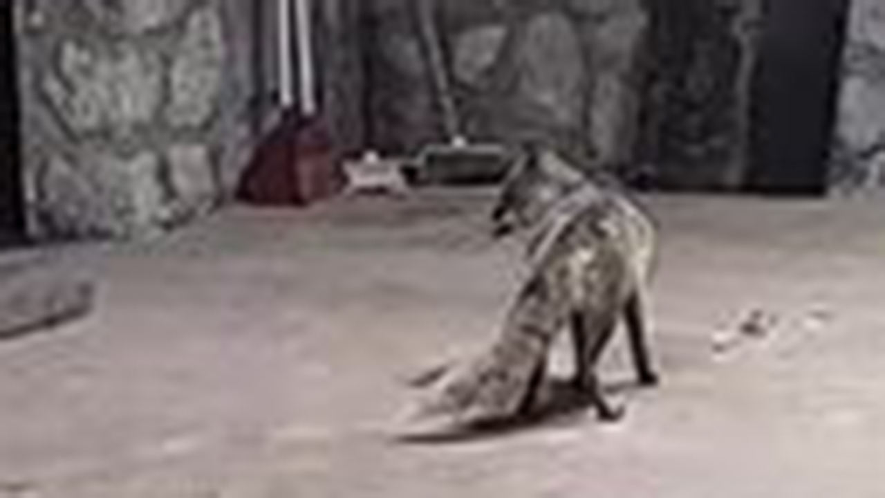 Alacatilki (2)