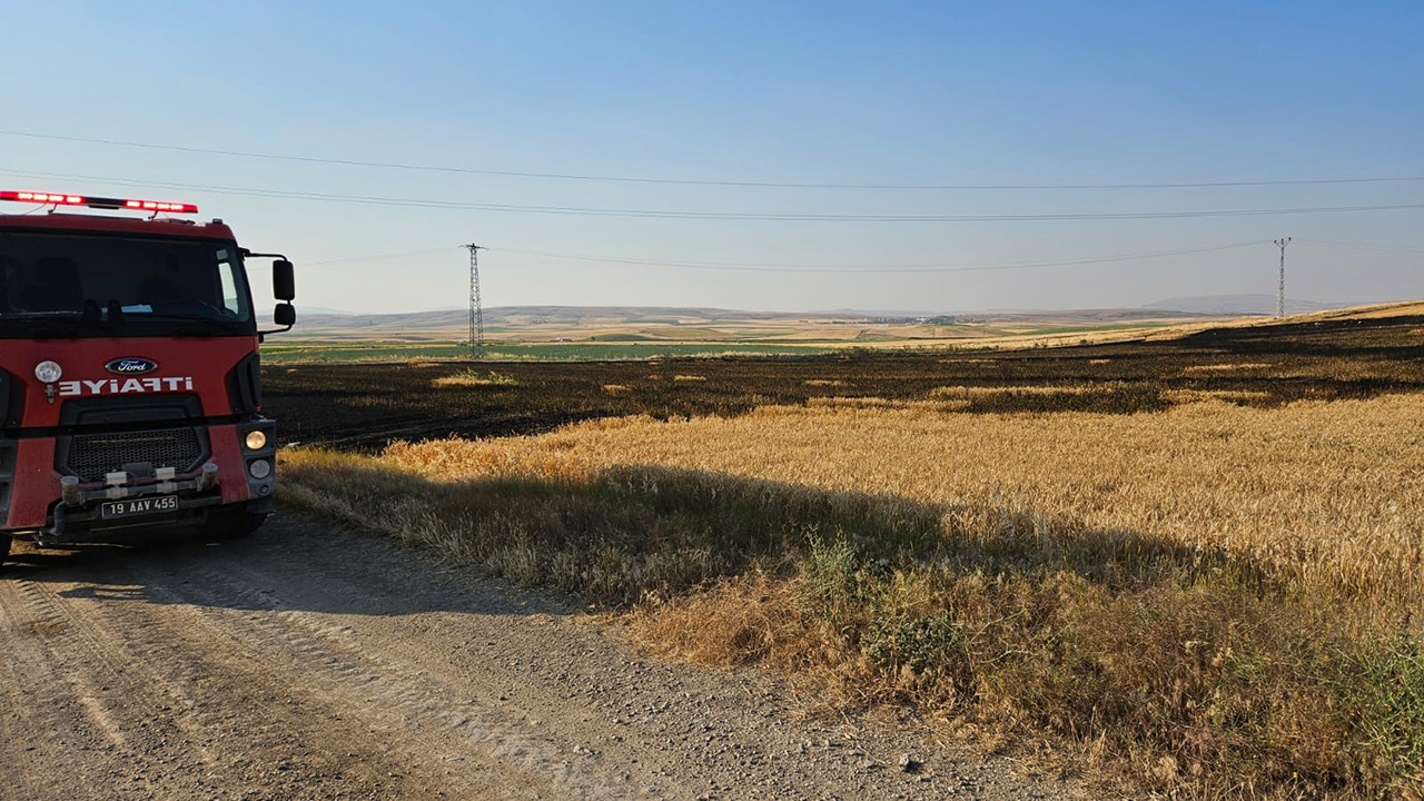 Alacayangın (1)-1