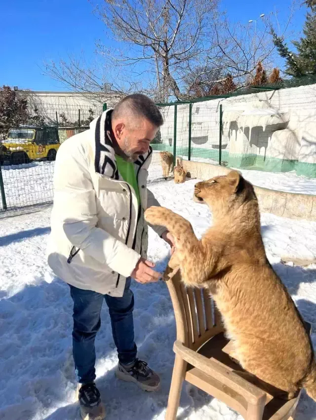Ciftciye Saldiran Aslan 2