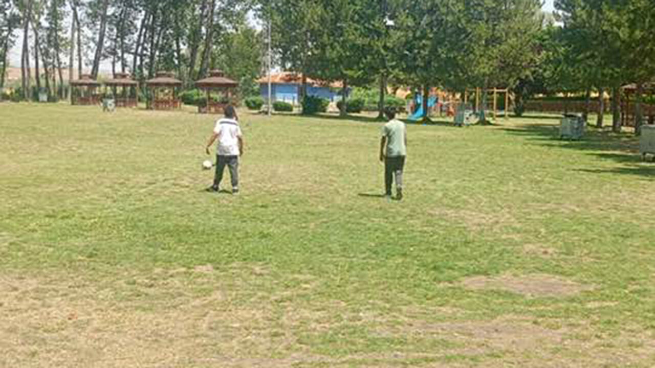 Covukevleripiknik (2)