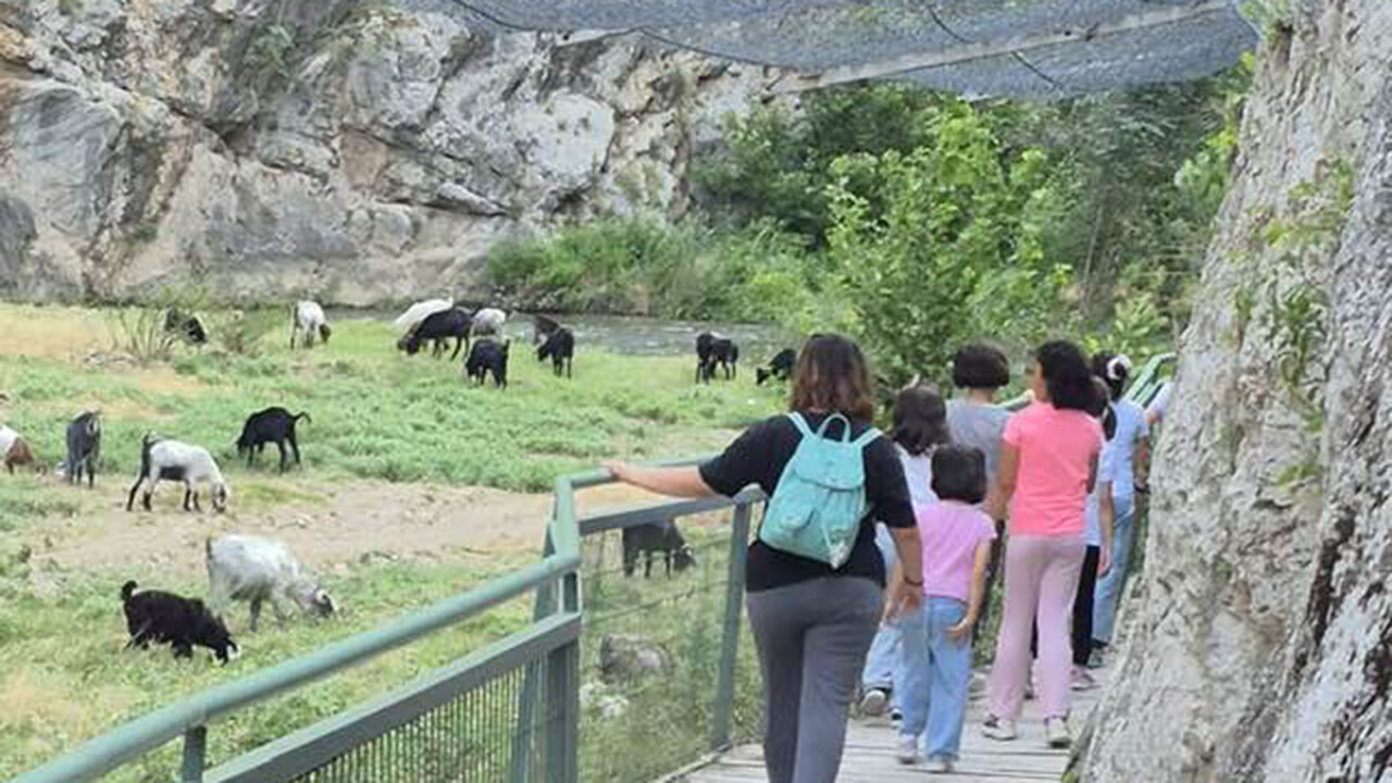 Incesigezi (2)