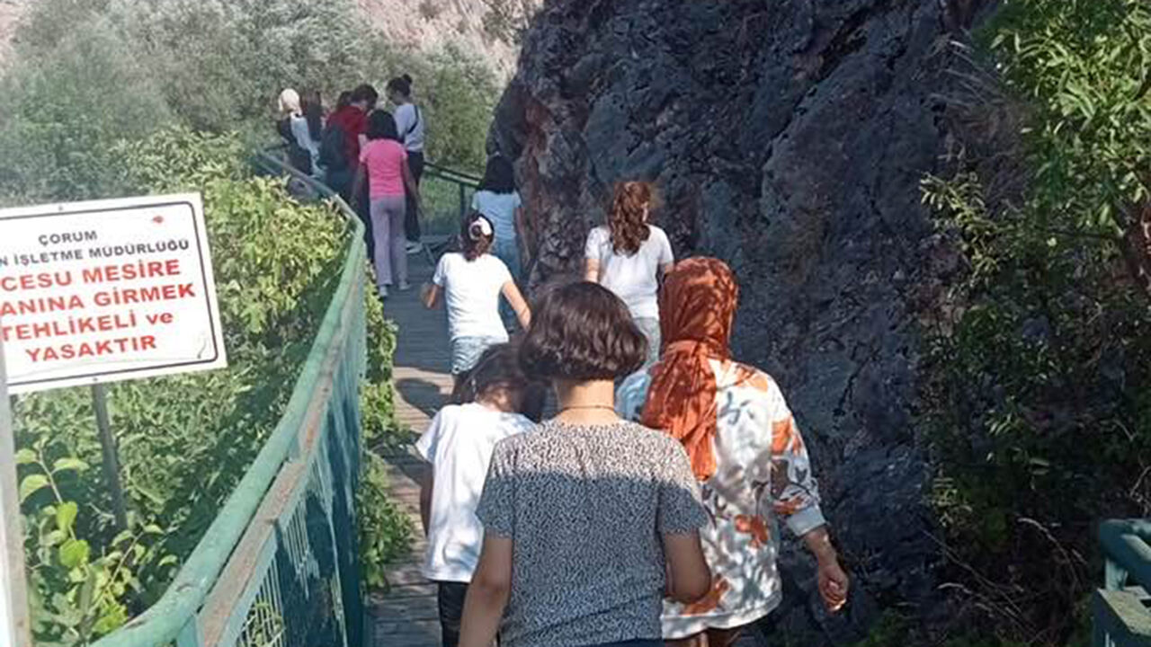 Incesigezi (3)
