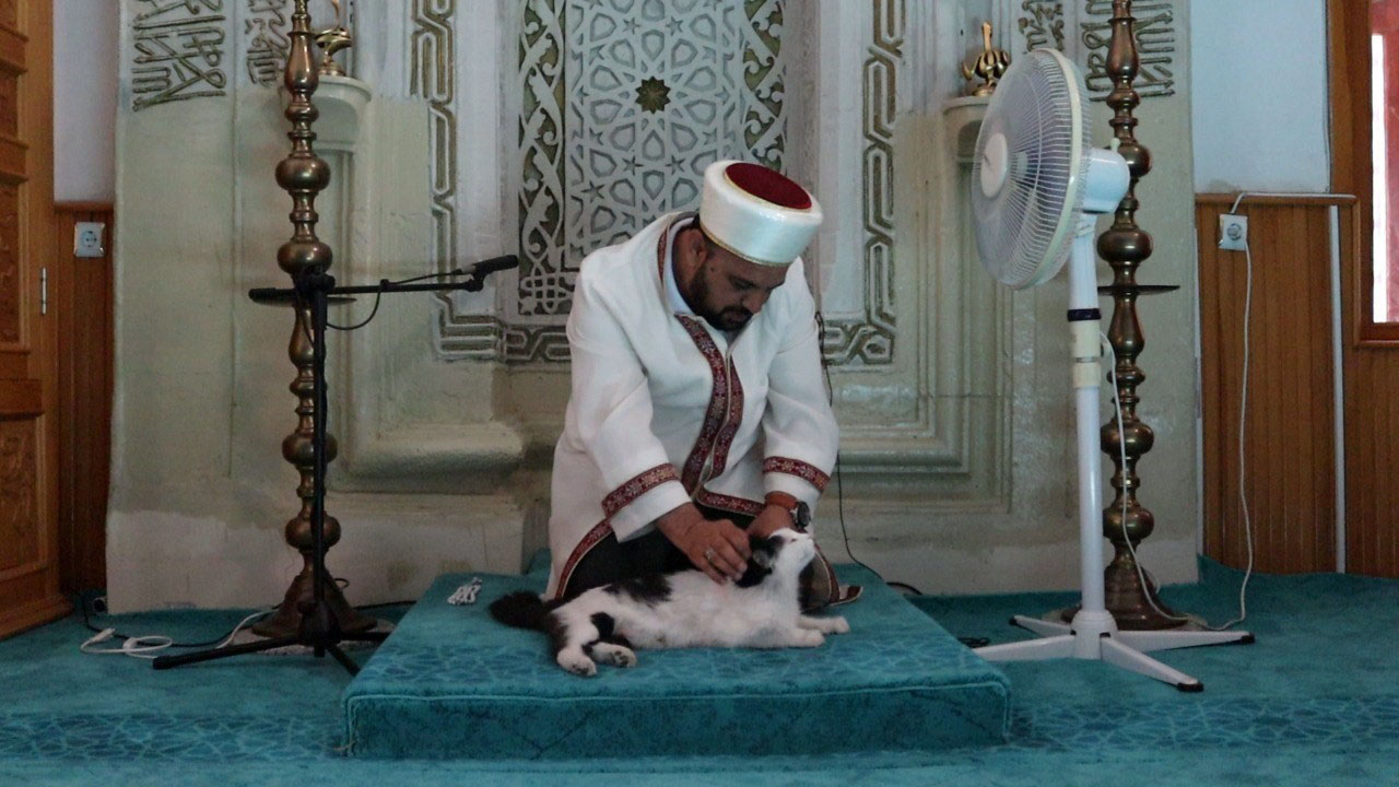 Kadiyavrusucami (3)
