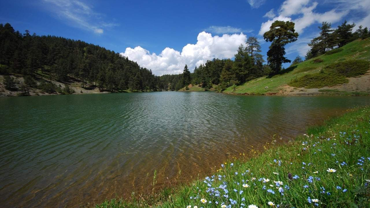 Kargıaksutabiatparkı (6)