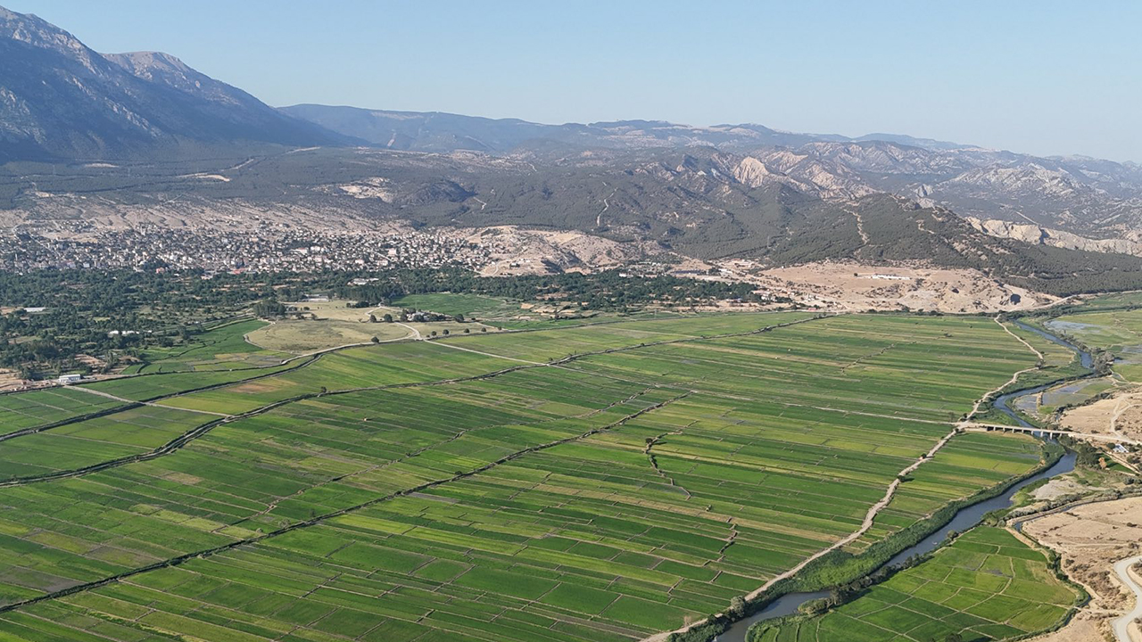 Kargıceltik (8)