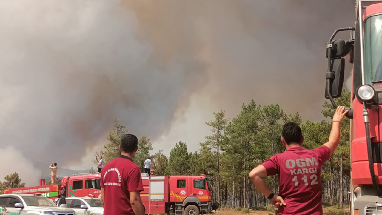 Kargıdestek (1)