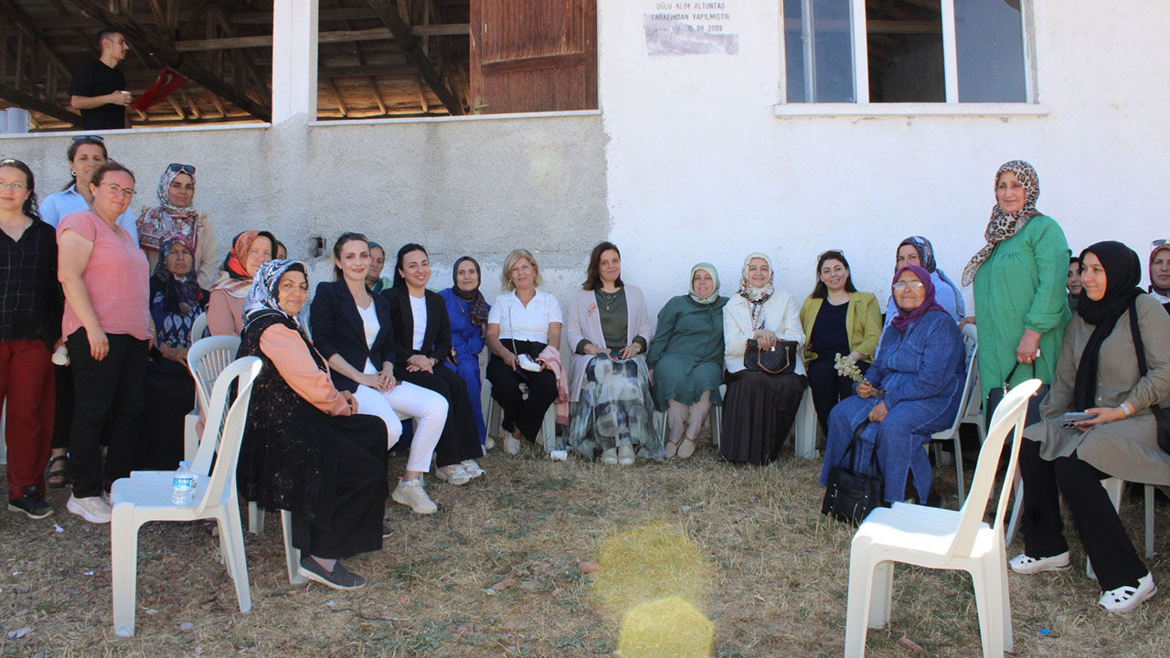 Mecitozuaileyılı (2)