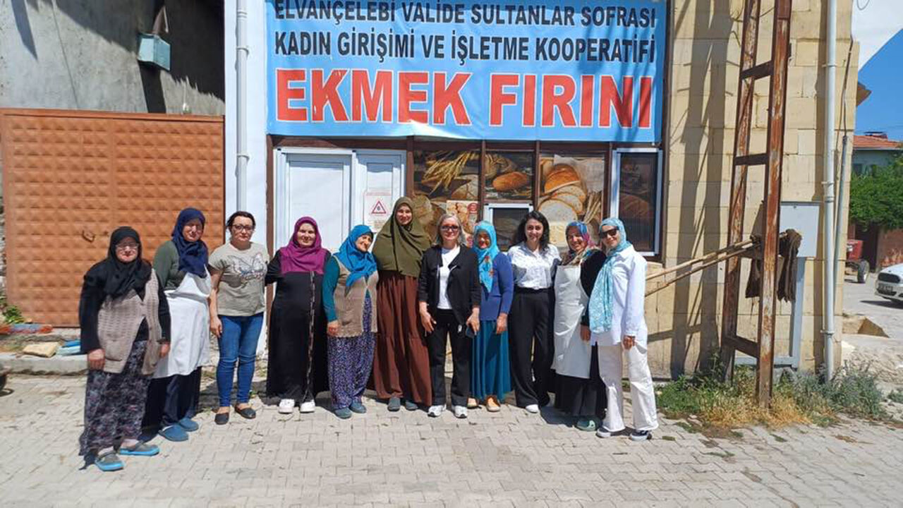 Mecitozukadınemegi (2)