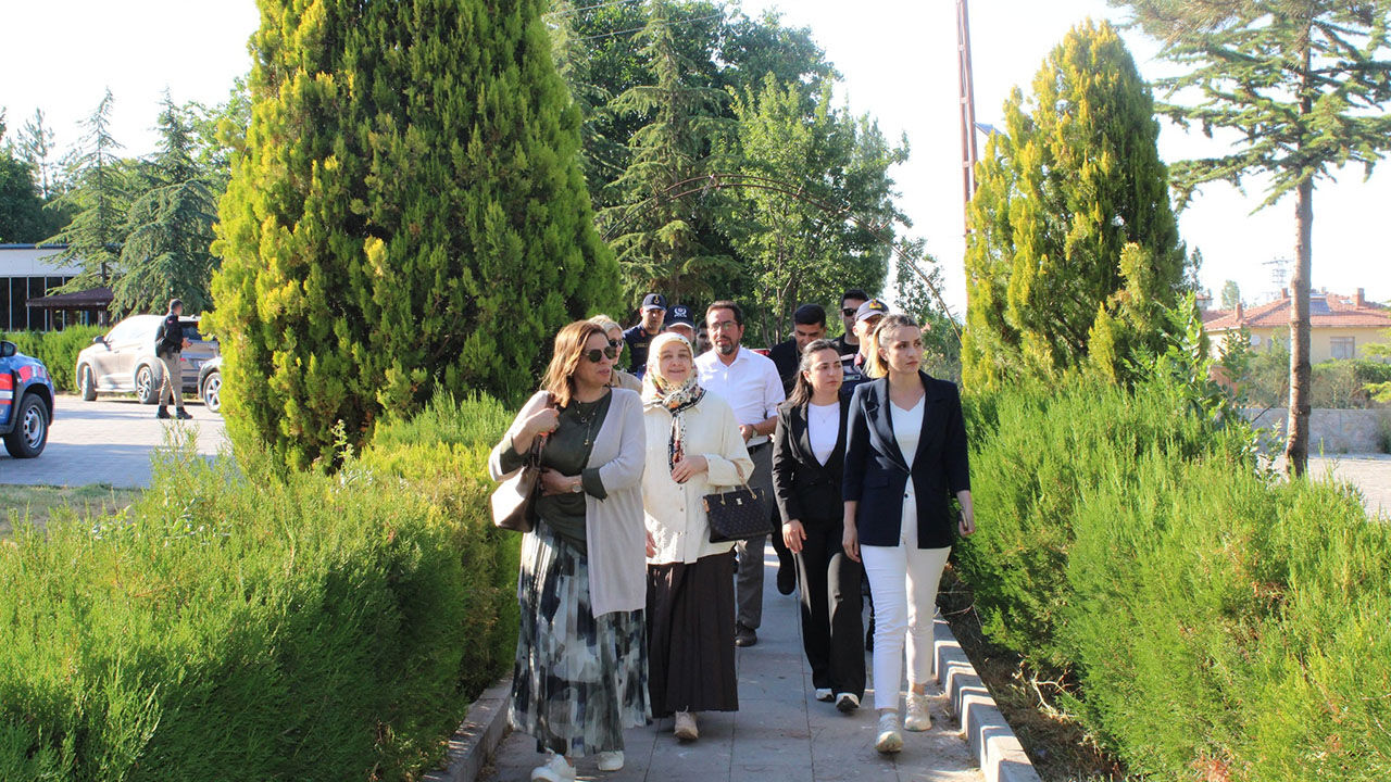 Mecitozusehit (3)