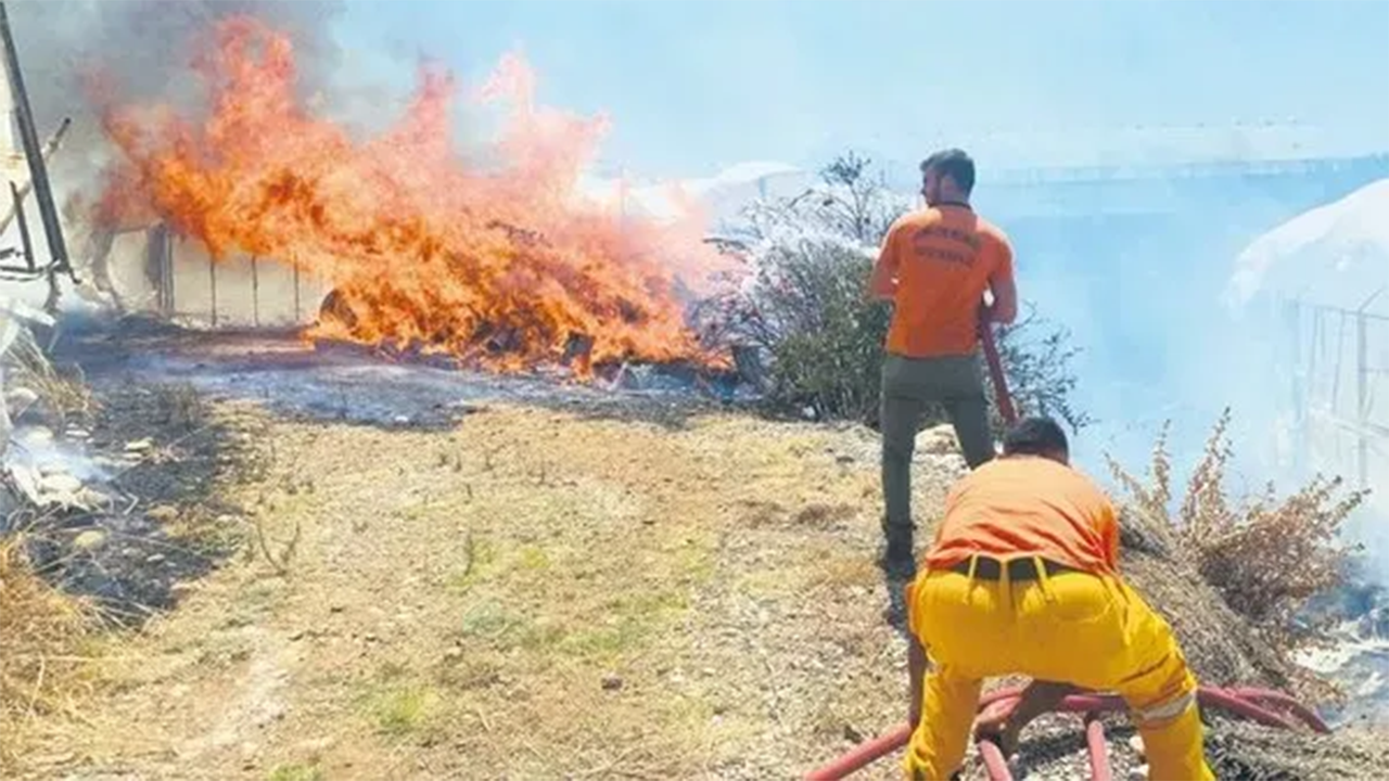 Orman Genel Müdürlüğü Açıkladı Yangınların Tek Bir Sebebi Var Ve Bu Yüzde 84 2