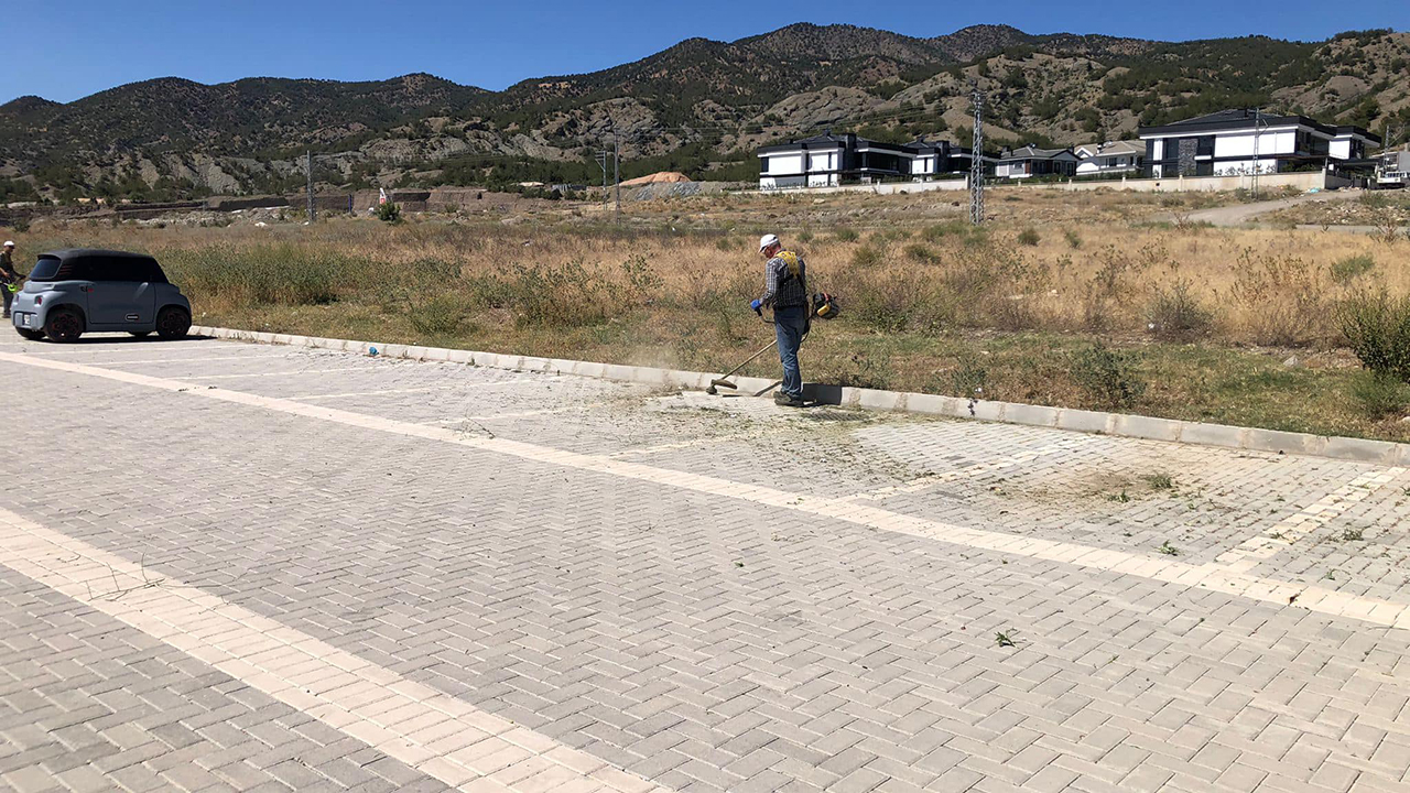Osmancıkparkyesilalan (1)