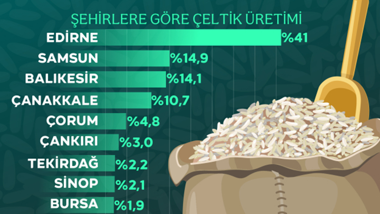 Pirincuretimi (2)