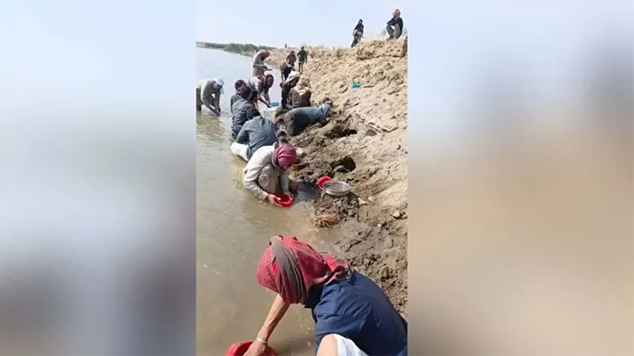 Sosyal Medyadaki 'Altın Bulundu' 4