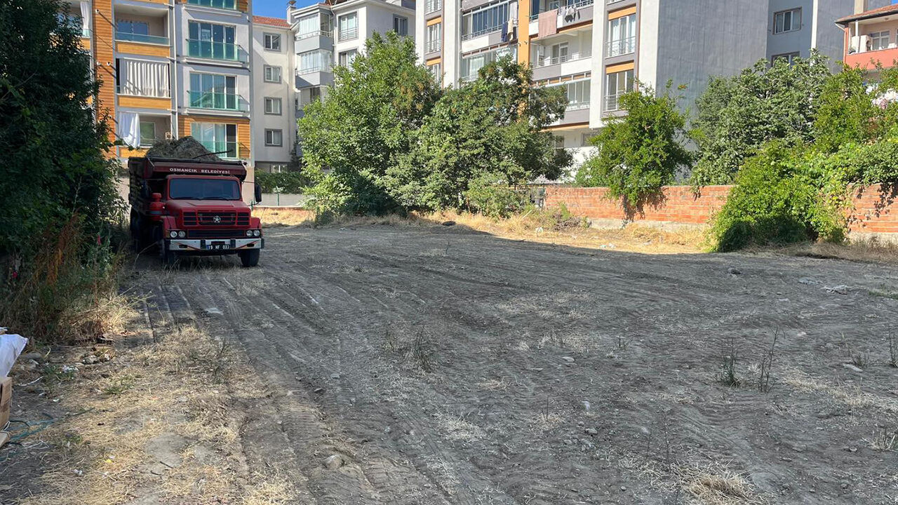Yangıntemizlik (1)