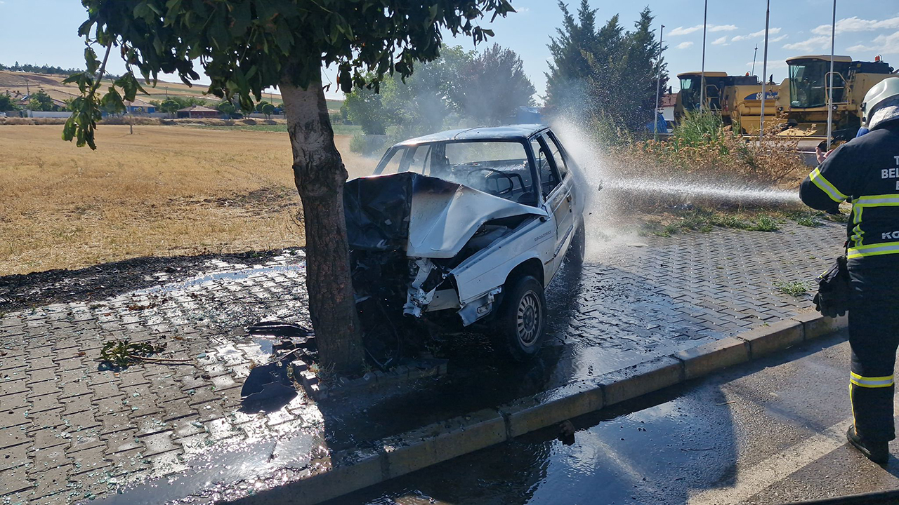 Alacaaracyangını (2)