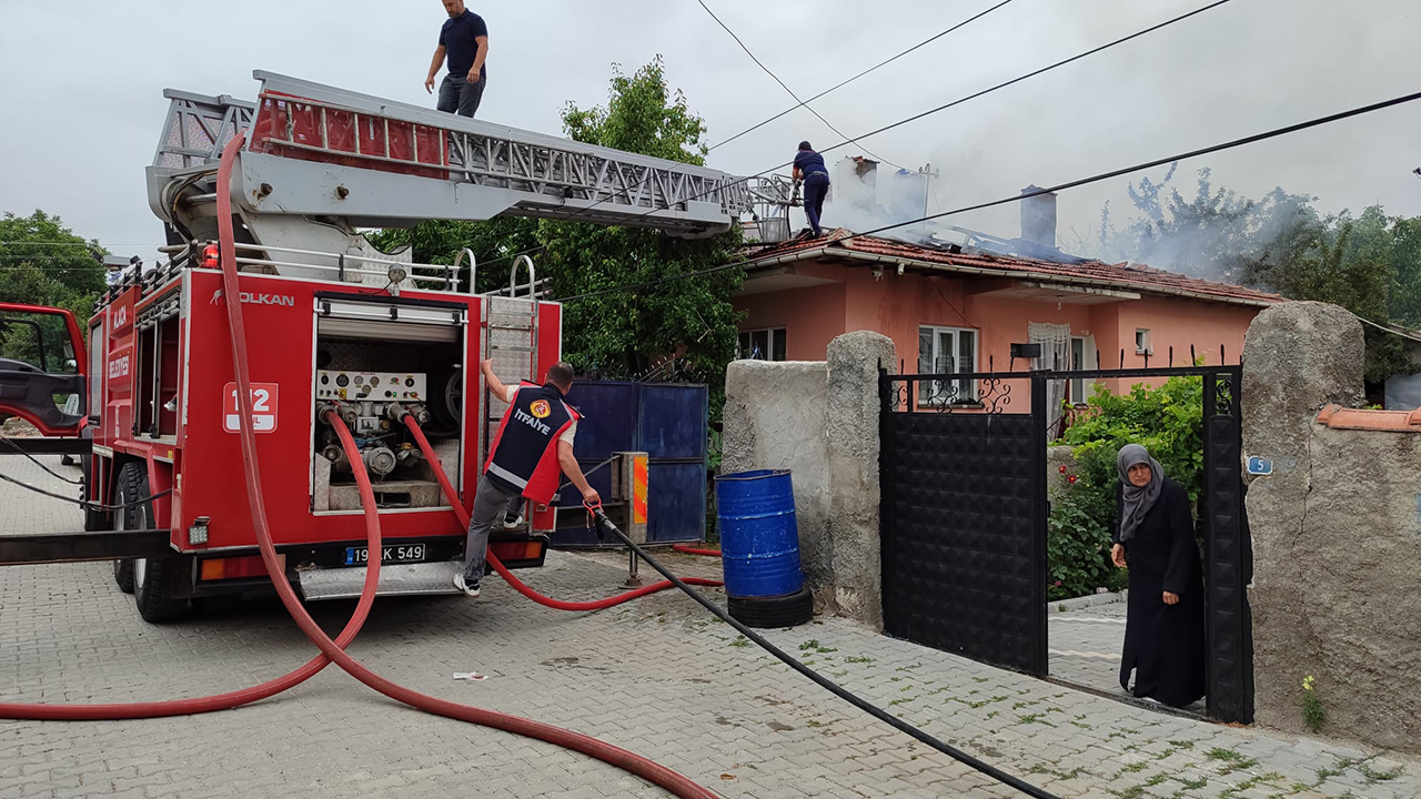 Alacacatıyangını (3)